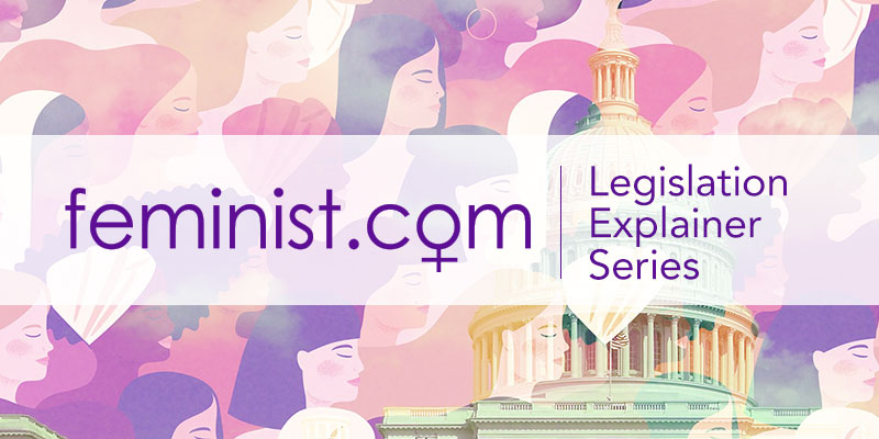 Feminist Legislative Series
