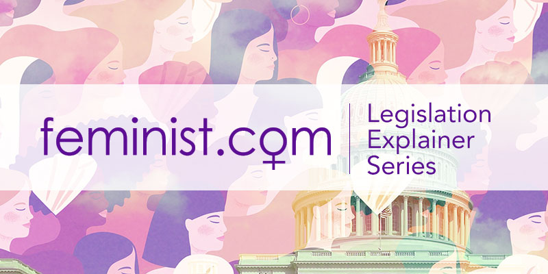 Feminist.com Explainer Series